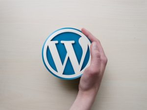 WordPress et créer un site web professionnel