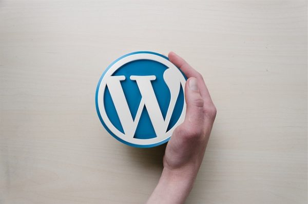 WordPress et créer un site web professionnel